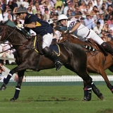 Photoscience - Polo and Wedding photographers in Hampshire Surrey and Sussex